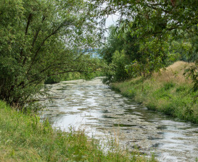 Schwieriges und anstrengendes Bootsrennen durch die vielen Wasserpflanzen
