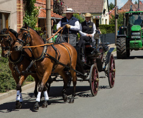 Angeführt wurde der Umzug durch ein Pferdegspann der Familie Wiegand