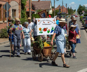 Die Kleingärtner aus Ringleben