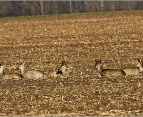 Ruhepause auf dem Haßleber Berg
