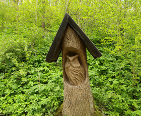 Auf dem Weg zur Grundmühle
