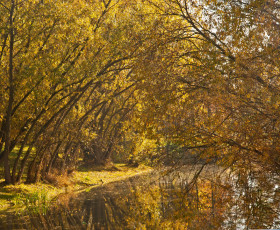 Es ist Herbst - eine tolle Farbenpracht